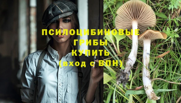 стаф Алексеевка