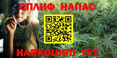 apvp Гусиноозёрск