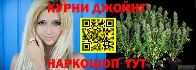 apvp Гусиноозёрск