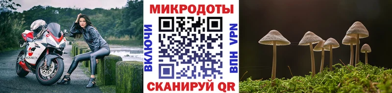 Псилоцибиновые грибы Psilocybine cubensis  Мыски 
