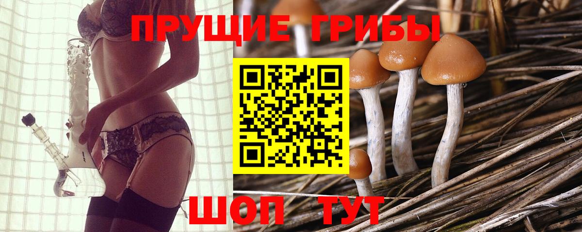 Мыски  Галлюциногенные грибы мухоморы  Вход с VPN 